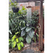 Handmade Waratah slim copper and brass hot and cold outdoor shower on a post.