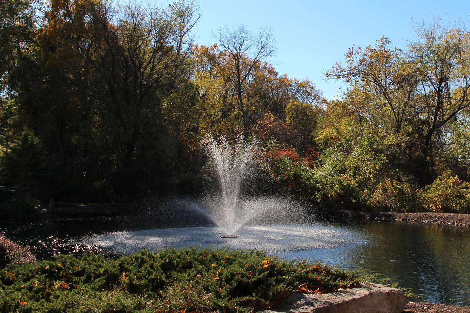 Otterbine All-in-One running the Rocket pattern in a garden pond