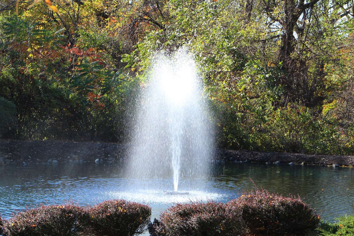 Close view of the Rocket pattern on a small pond