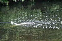 Aspirator