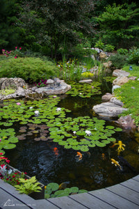 AquaSurge 20000