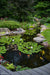 A finished 6.4m by 7.9m Aquascape ecosystem pond with a large rock waterfall