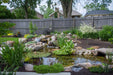 A finished 3.3m by 4.8m Aquascape ecosystem pond set into a landscaped garden