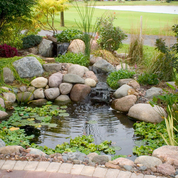 A finished Aquascape backyard ecosystem pond with a rock waterfall and planted margins