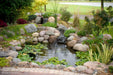 A finished Aquascape backyard ecosystem pond with a rock waterfall and planted margins