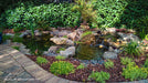 A finished 2.4m by 3.3m Aquascape ecosystem pond with rock edging and a cascading waterfall