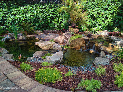 Aquascape Small Pond Kit, 2.4m x 3.3m