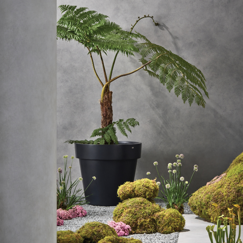 Blinde Design Classic 25 concrete planter with fern plant in modern minimalist garden setting
