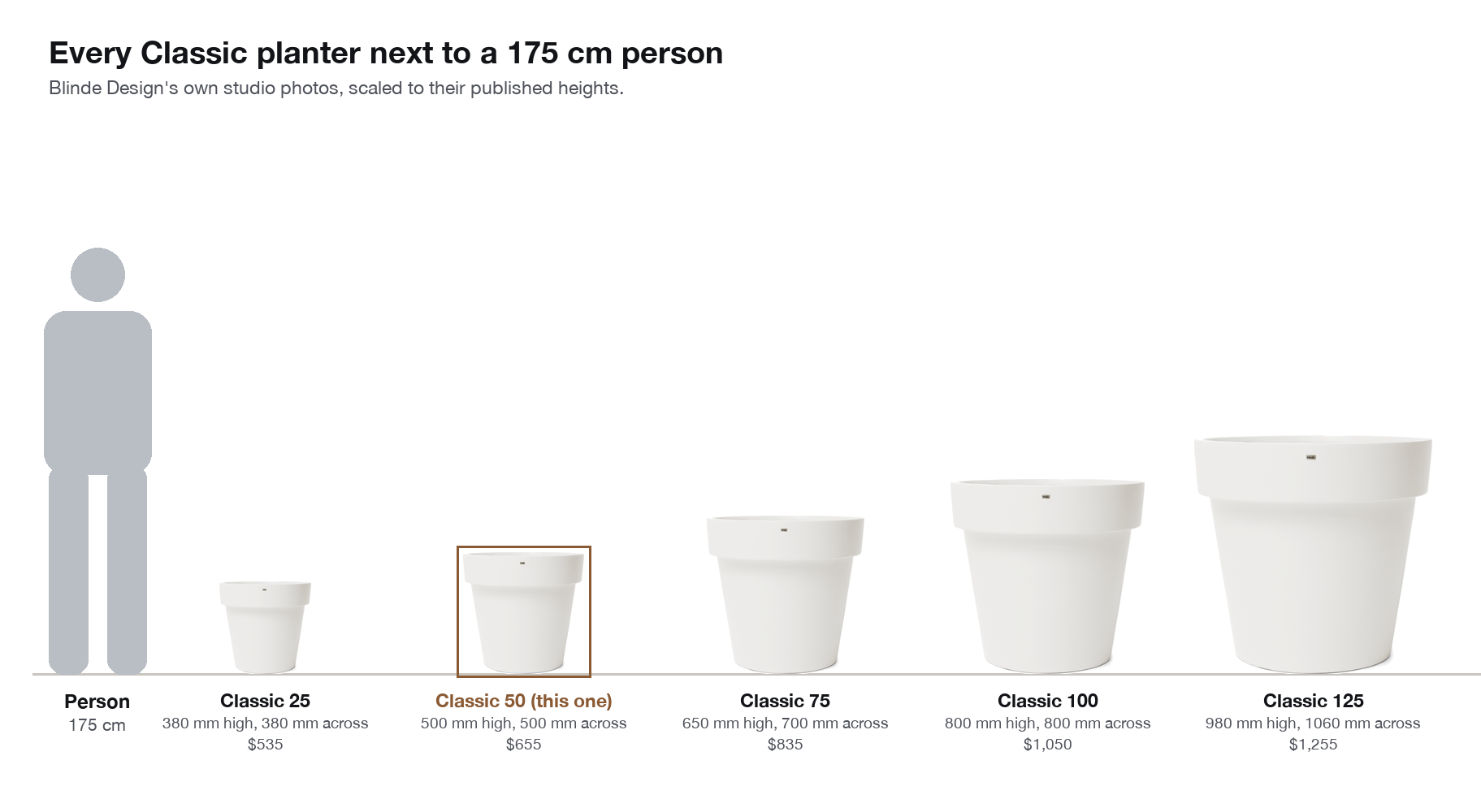 Every Blinde Design Classic planter photographed to scale beside a 175 cm person, Classic 50 highlighted