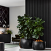 Two Blinde Stitch concrete planters in black finish with orange and white stitched accents holding large indoor plants in a modern living room