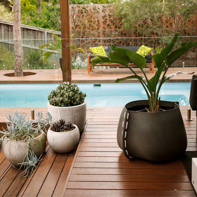 Blinde Stitch 100 large concrete planter with tropical plant on a modern outdoor poolside deck