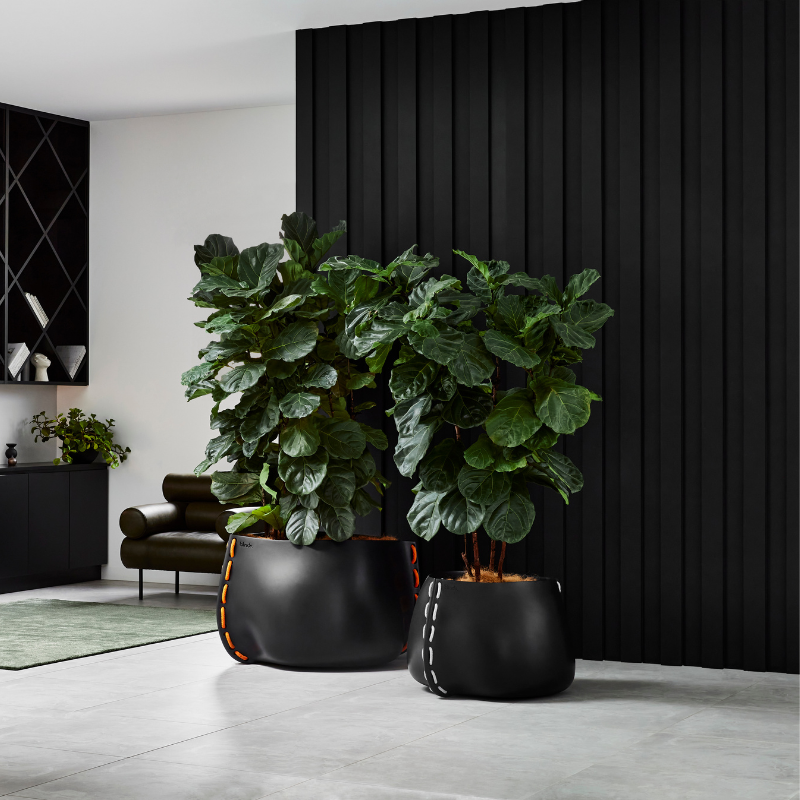 Large Blinde Stitch concrete planters with indoor plants displayed in a contemporary interior with a black feature wall