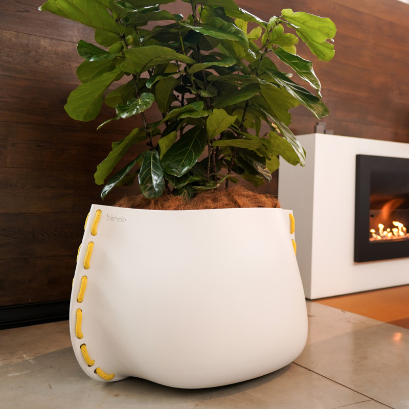 Blinde Stitch 125 white concrete planter with yellow stitched accents holding a fiddle leaf fig plant in a modern interior near a fireplace