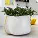 Blinde Stitch 125 white concrete planter with yellow stitched accents holding lush indoor plants in a modern living space.
