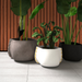 Blinde Stitch concrete planters in white, dark concrete and black finishes with decorative rope stitching displayed with indoor plants
