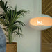 Cocoon Aeris Hanging Bioethanol Fireplace in matt white hanging beside a potted palm