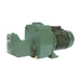 DAB 251M cast iron jet pump in green, twin impeller bare pump, side view