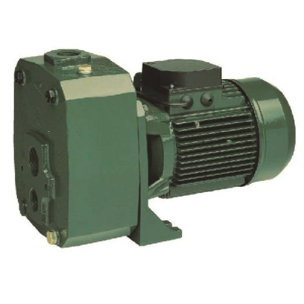 DAB deep well surface pump DP151M and DP251M, green cast iron casing with electric motor, no pressure switch fitted, side view