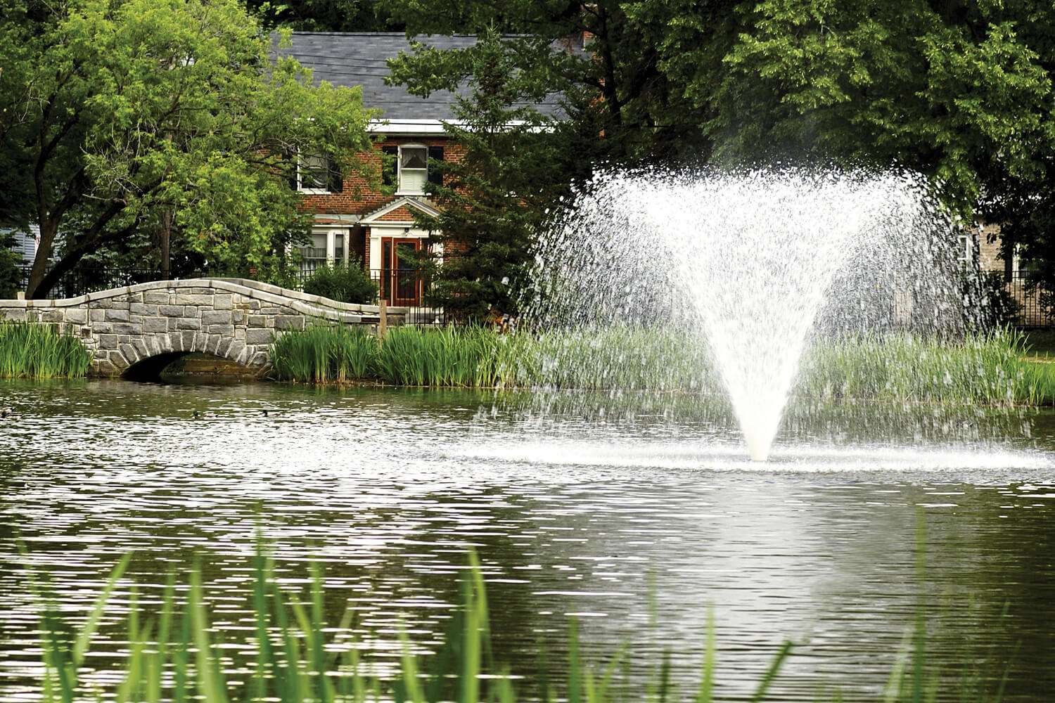 Otterbine Gemini aerating fountain throwing a tall plume