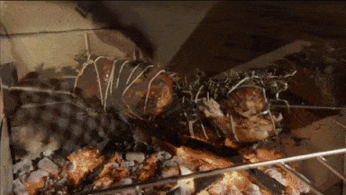Close-up of meat on the Buschbeck rotisserie spit over hot coals
