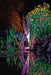 ProfiLux Garden LED RGB colour lighting in a garden at night