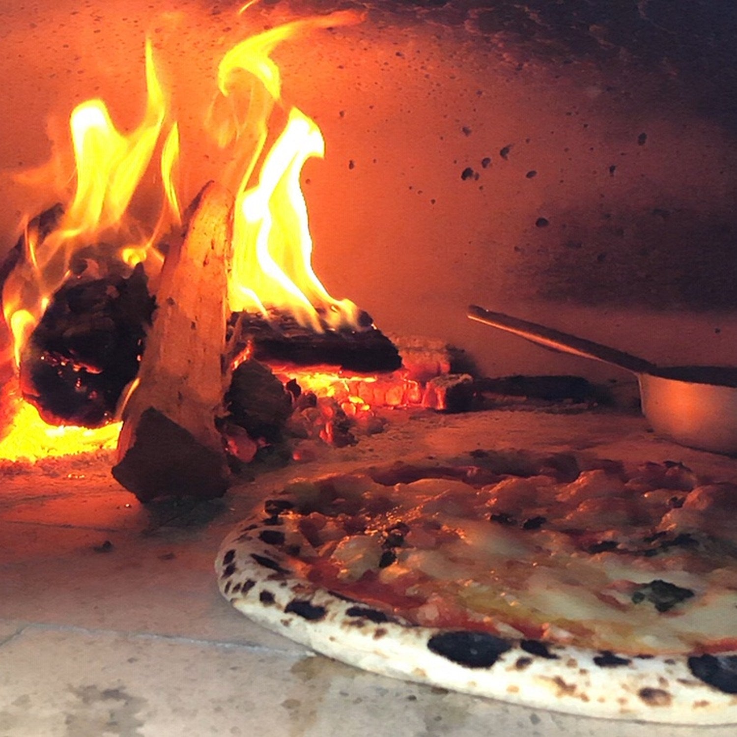 Pizza cooking on the refractory floor of a Polito Giotto beside the fire
