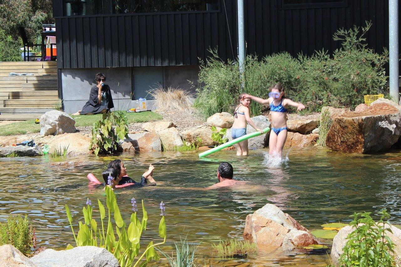 An Aquascape recreation pond showing the swimming area and the planted gravel wetland filter