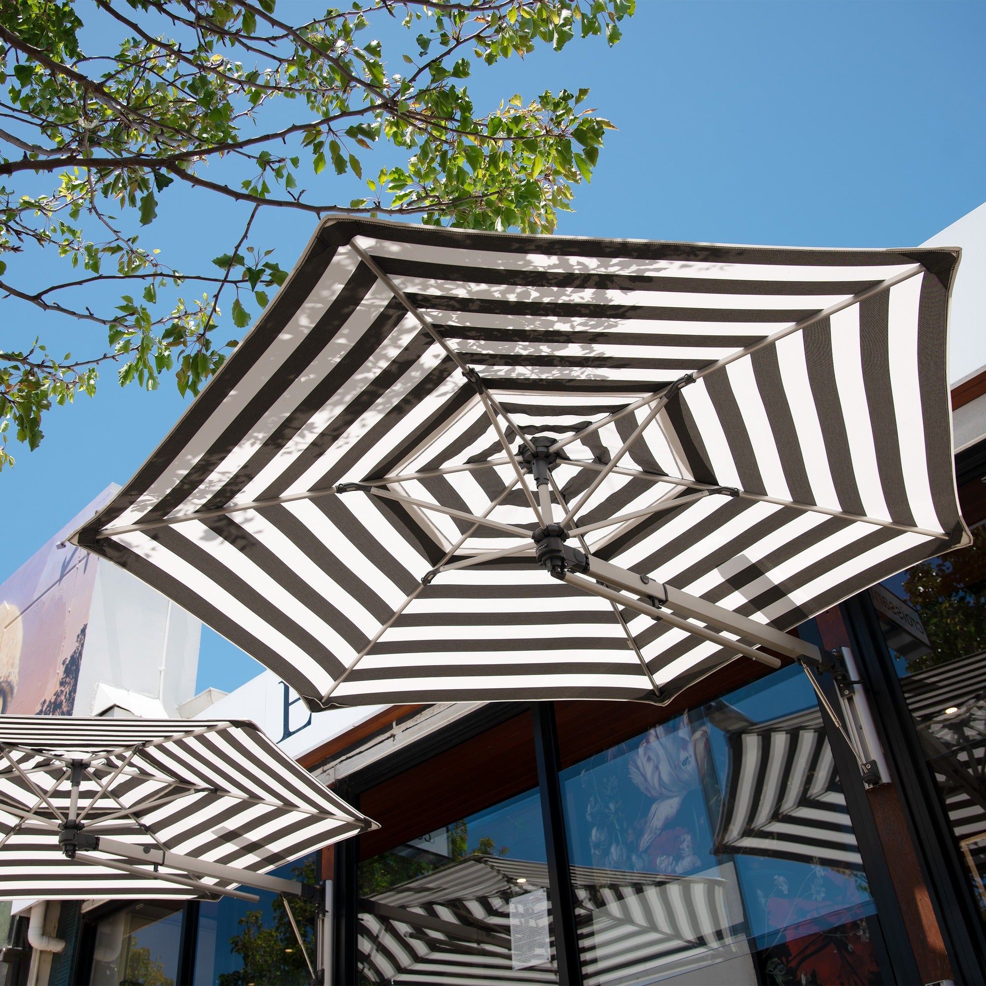 Shadowspec Retreat wall-mounted umbrella with a Black and White Stripe canopy seen from below