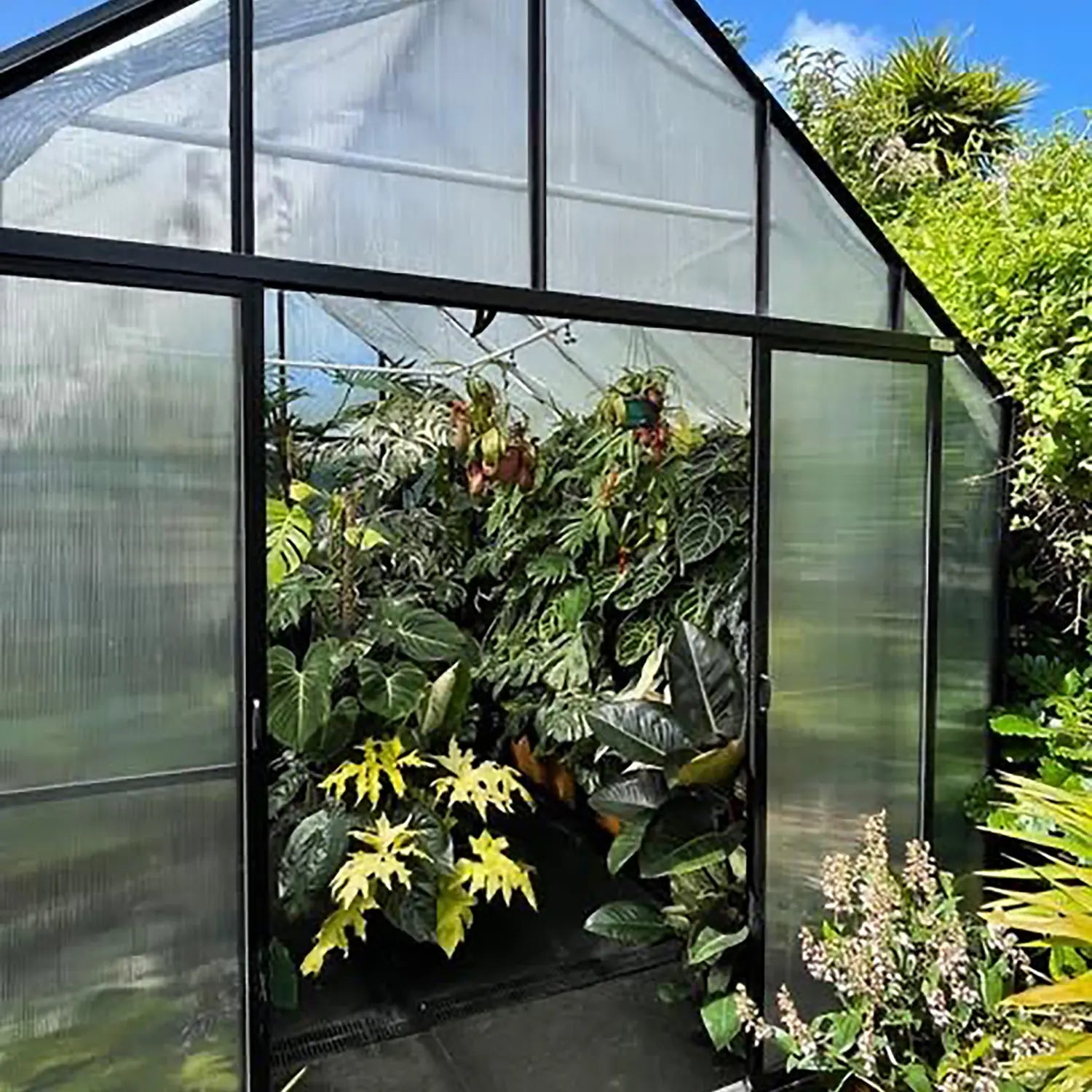Winter Gardenz 10ft wide polycarbonate greenhouse with black aluminium frame and sliding doors open