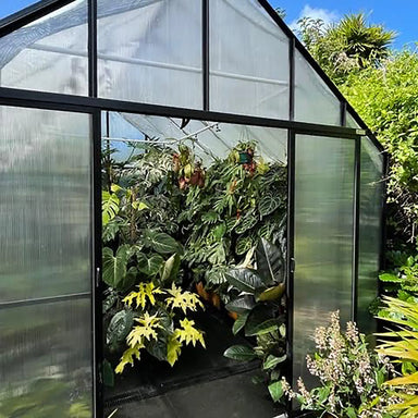 Winter Gardenz 10ft wide polycarbonate greenhouse with black aluminium frame and sliding doors open